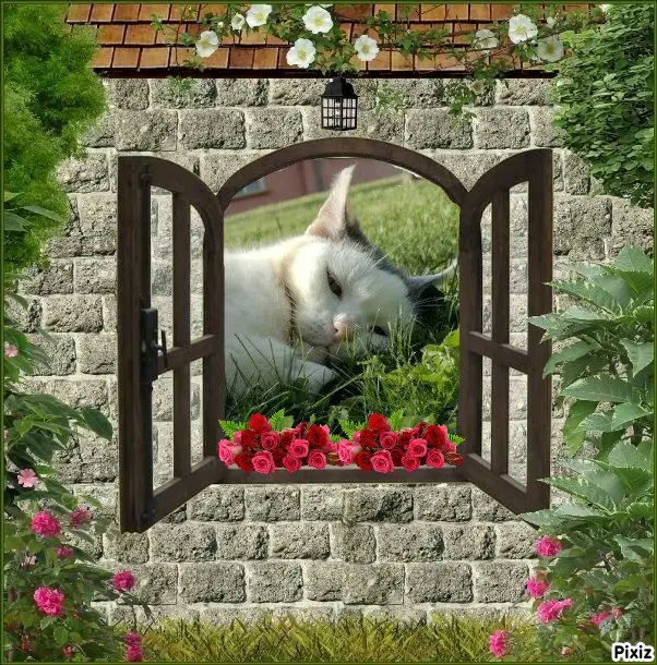 Condolence image of Tanja mit Timmy im Herzen 