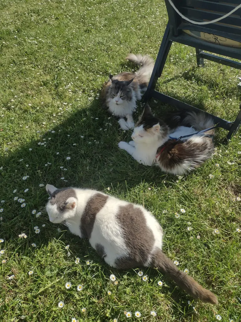 Condolence image of Mama ❤️