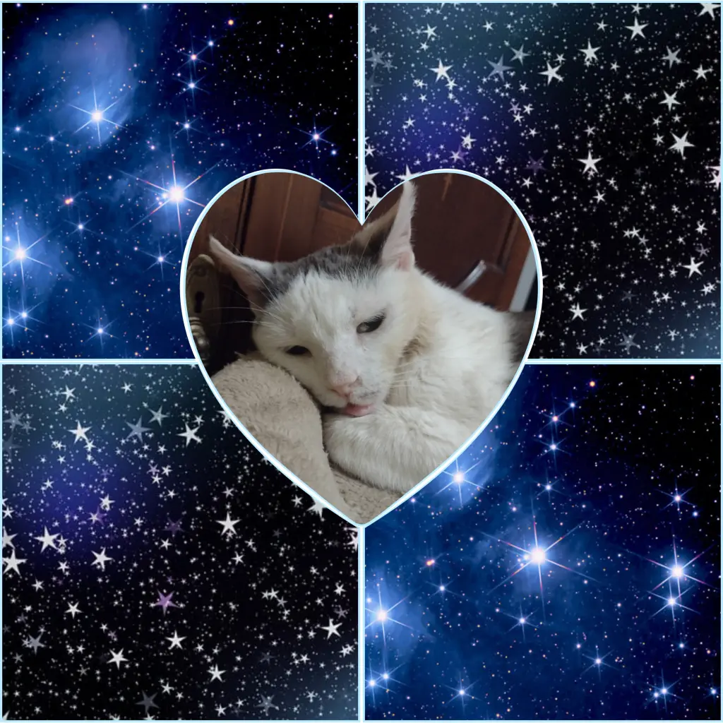 Condolence image of Mama ❤️