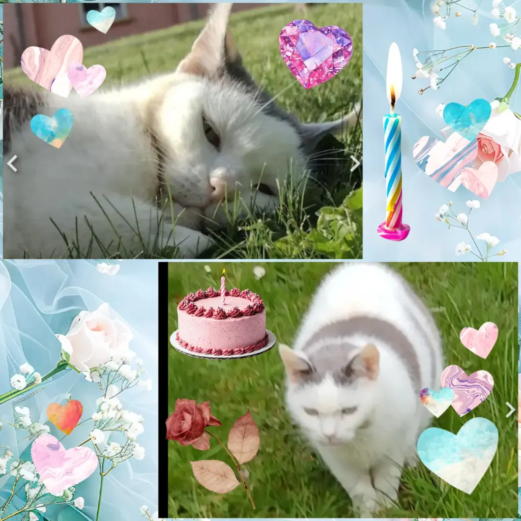 Condolence image of ❤️2. Sternchengeburtstag Jengi❤️