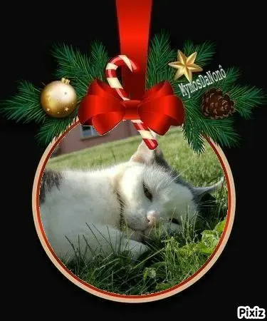 Condolence image of Tanja mit Timmy im 💘