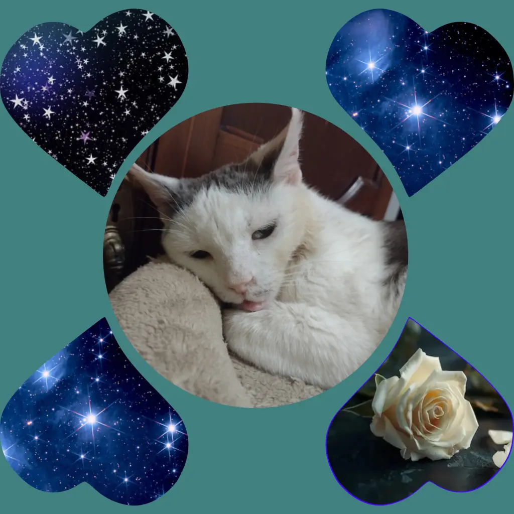 Condolence image of Mama ❤️