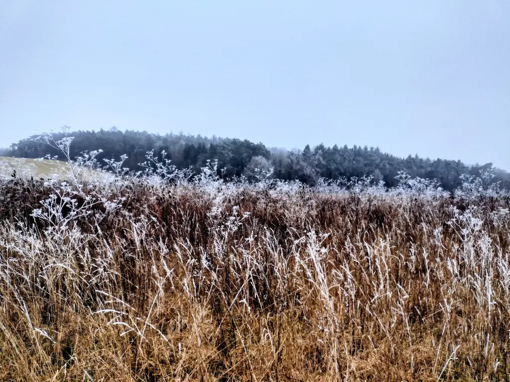 Condolence image of Mama ❤️
