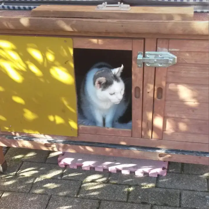 Condolence image of Mama ❤️