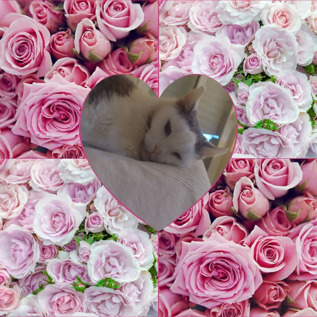 Condolence image of Mama❤️