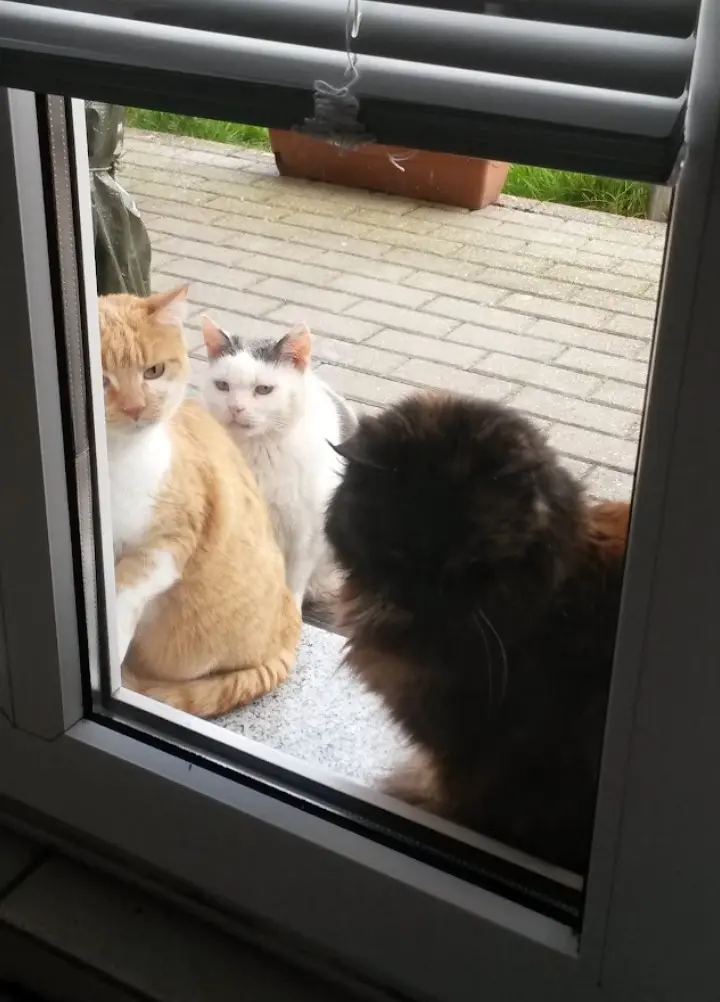 Condolence image of Mama ❤️