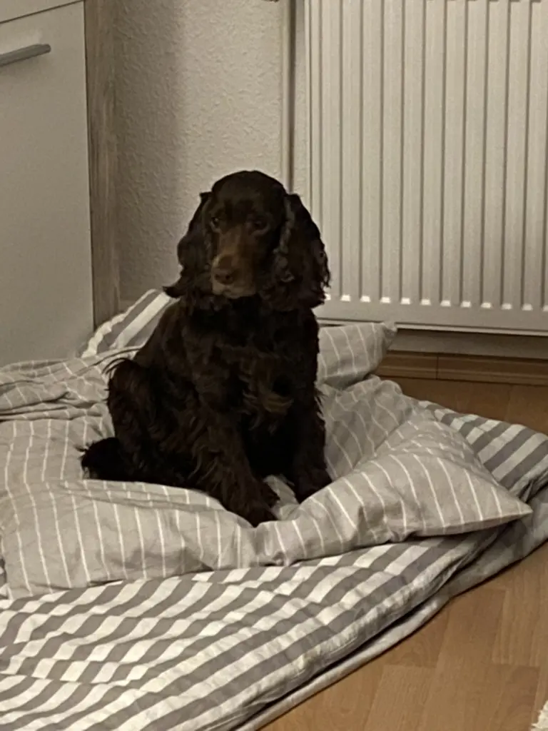 Andachtsbild von Kerstin mit Linus im ❤️