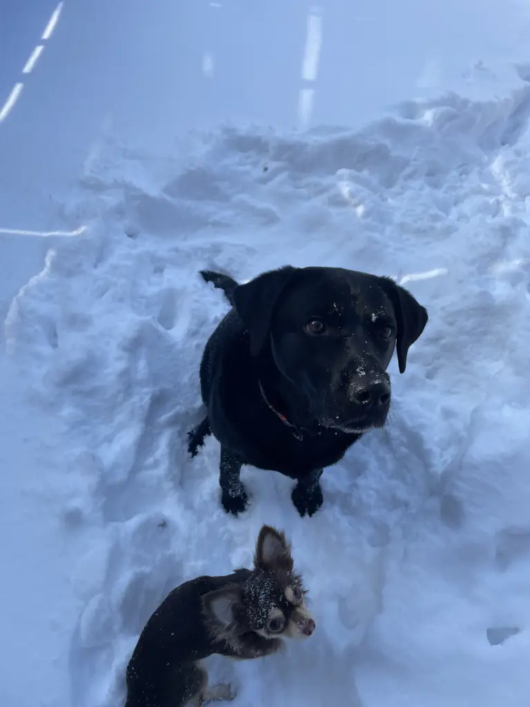 Andachtsbild von Deine Mama ♥️ Lara