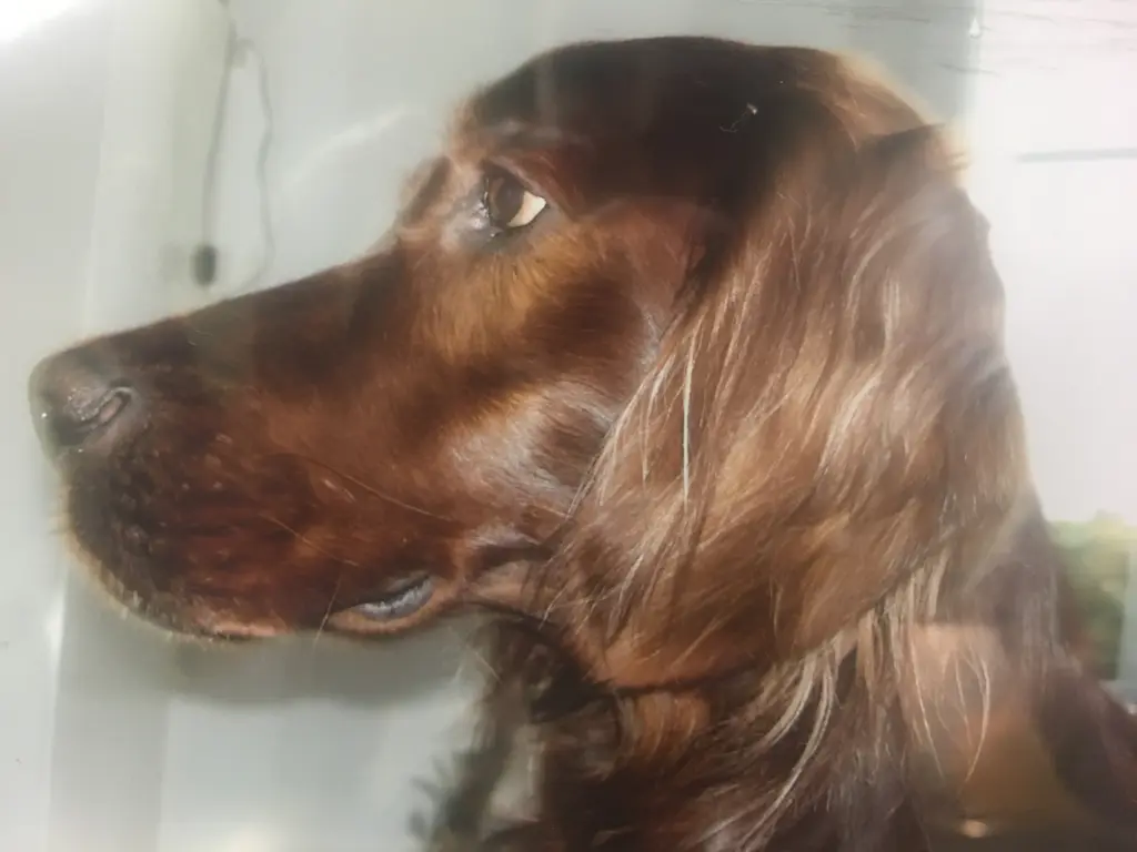 Condolence image of Sandra 