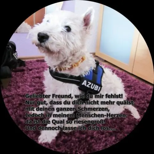 Image from Xantos
