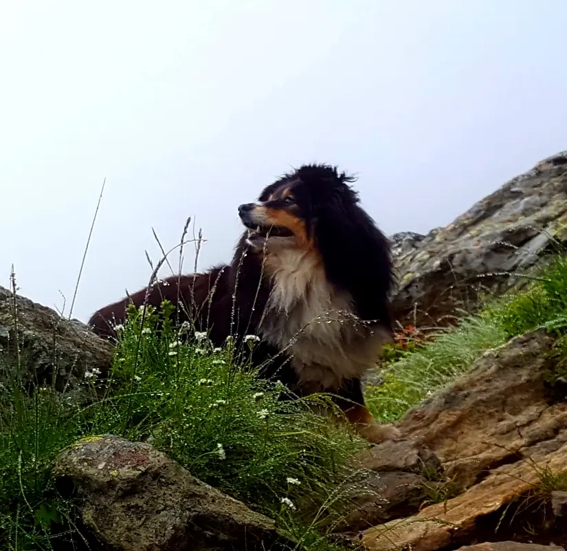 Condolence image of Kerstin 