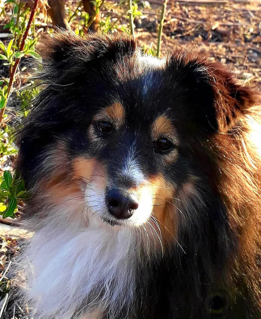 Condolence image of Kerstin