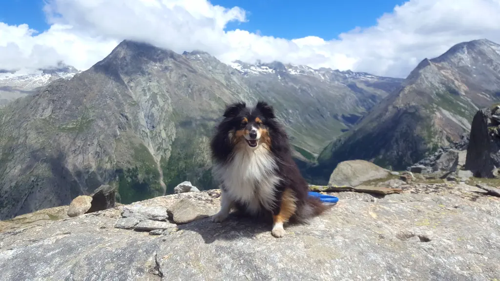 Condolence image of Kerstin