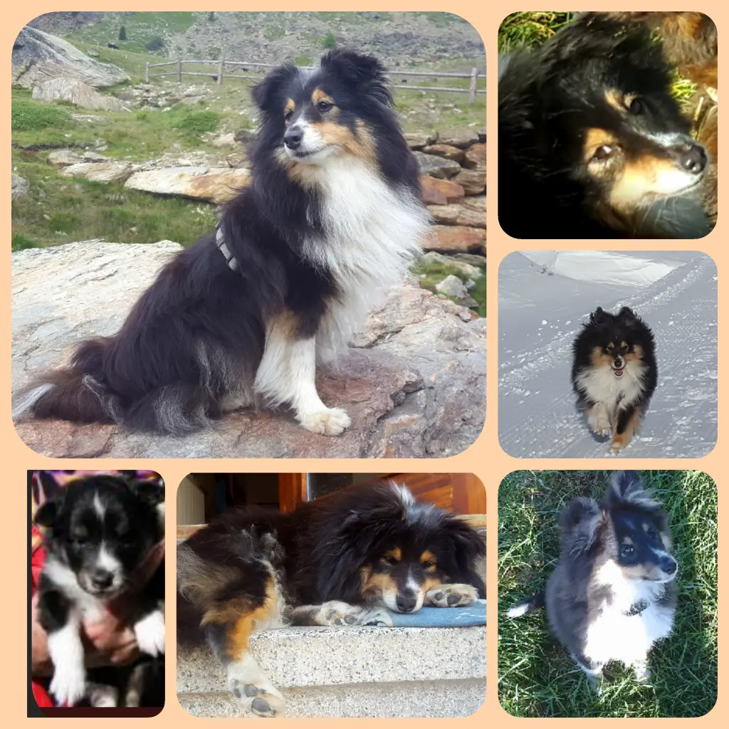 Condolence image of Kerstin 