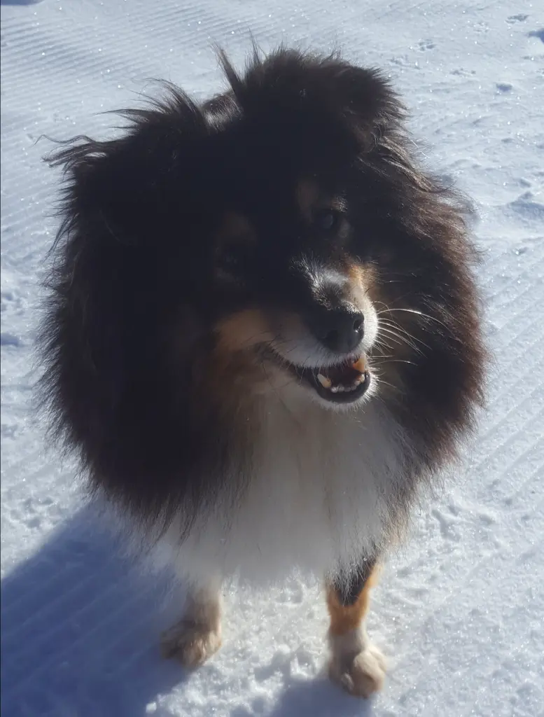 Condolence image of Kerstin 