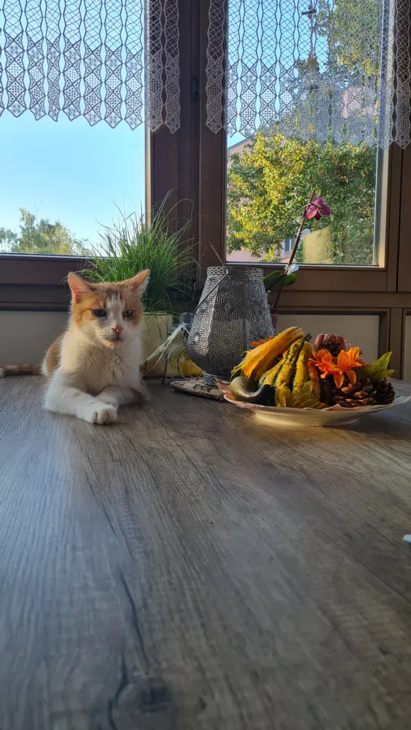 Andachtsbild von Anna