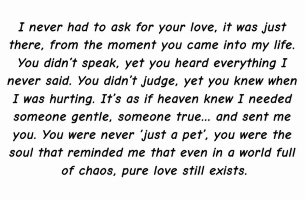 Andachtsbild von Anna