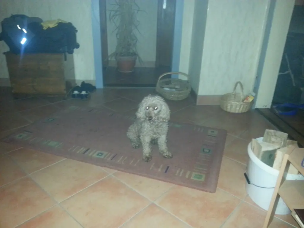 Image from Katja