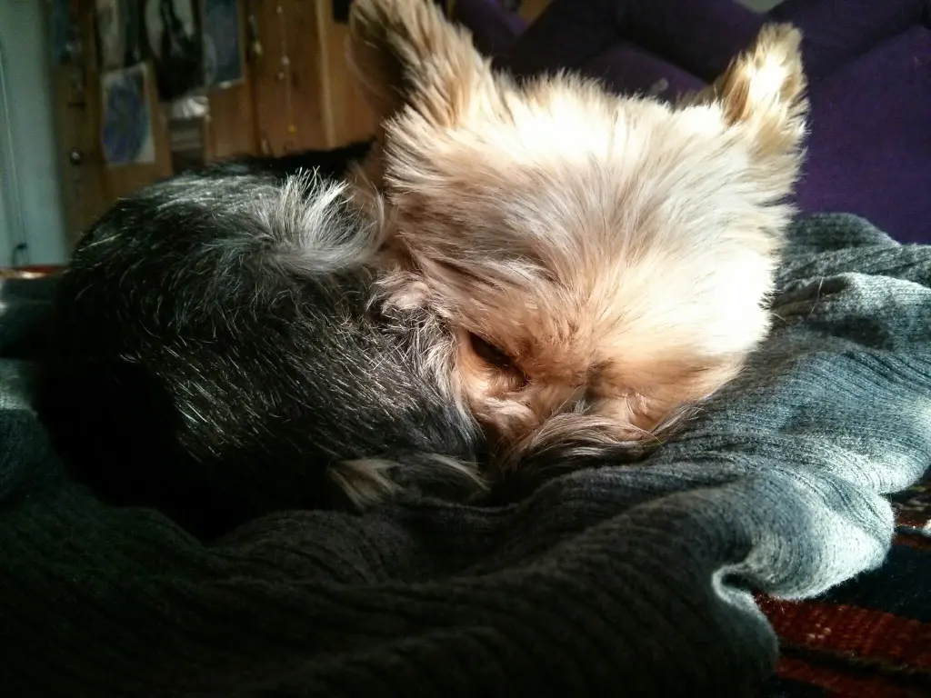 Image from Molly