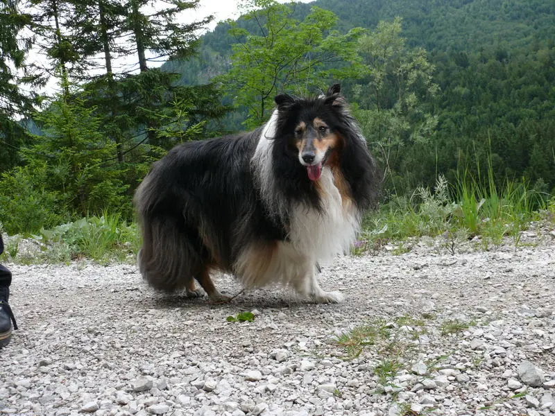 Image from Maruscha