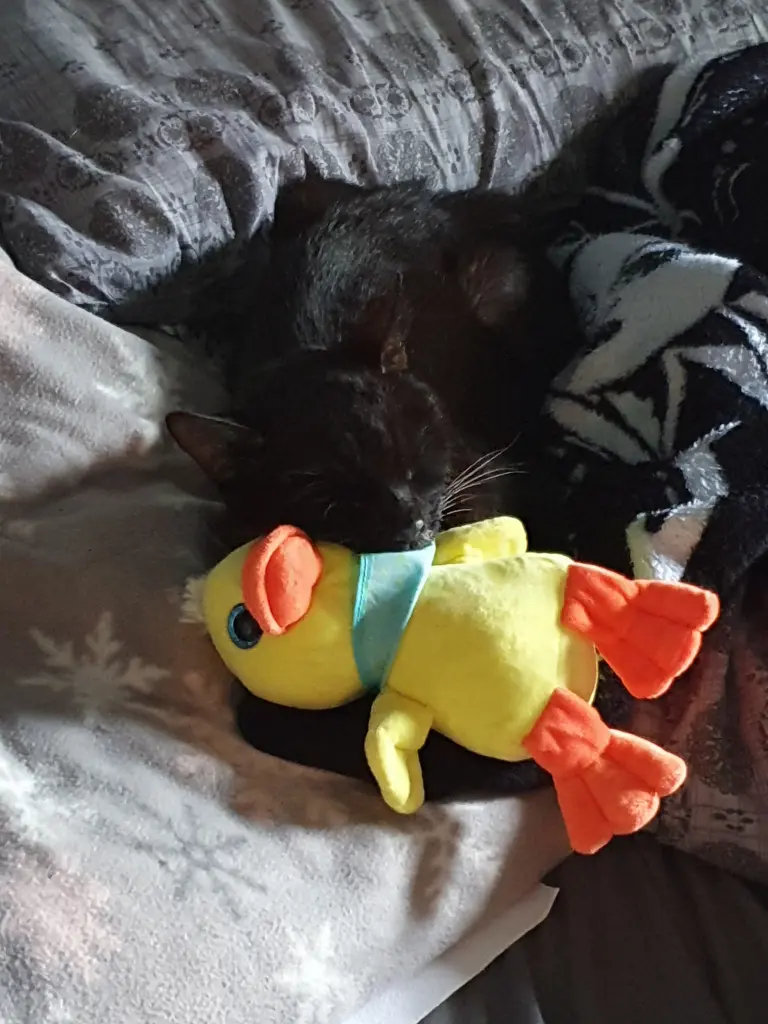 Andachtsbild von Mona