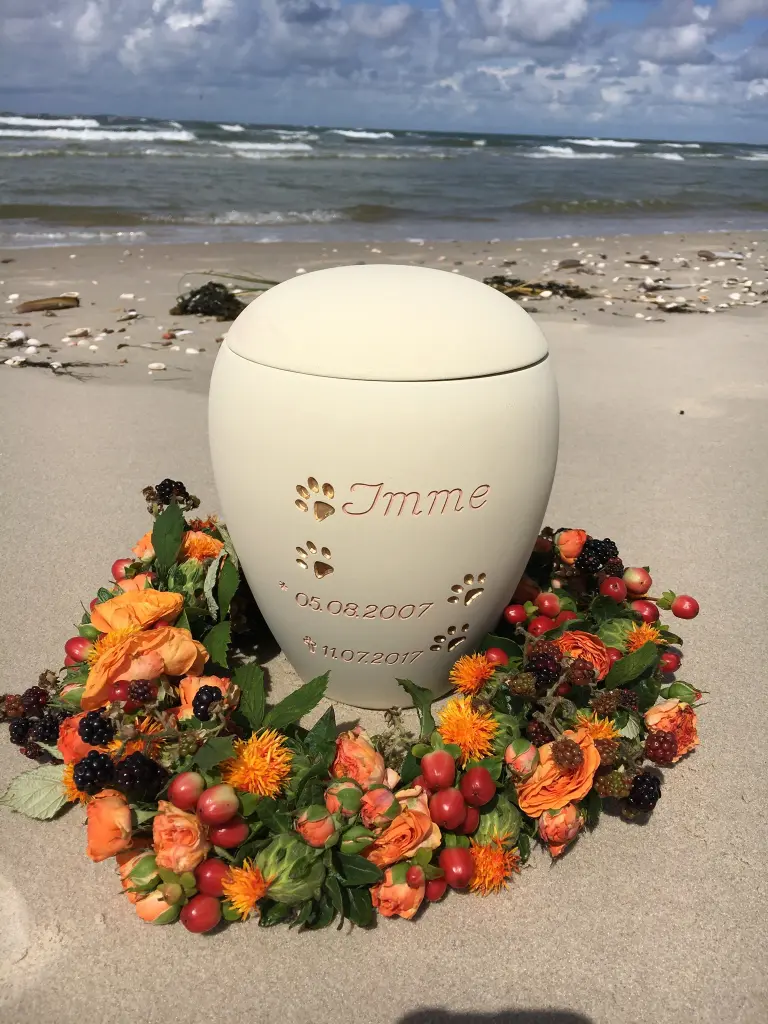 Image from Imme