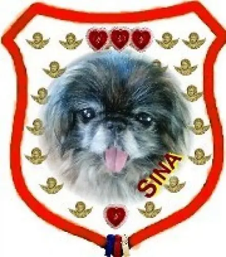 Image from mein allerliebstes Sina-Mädchen