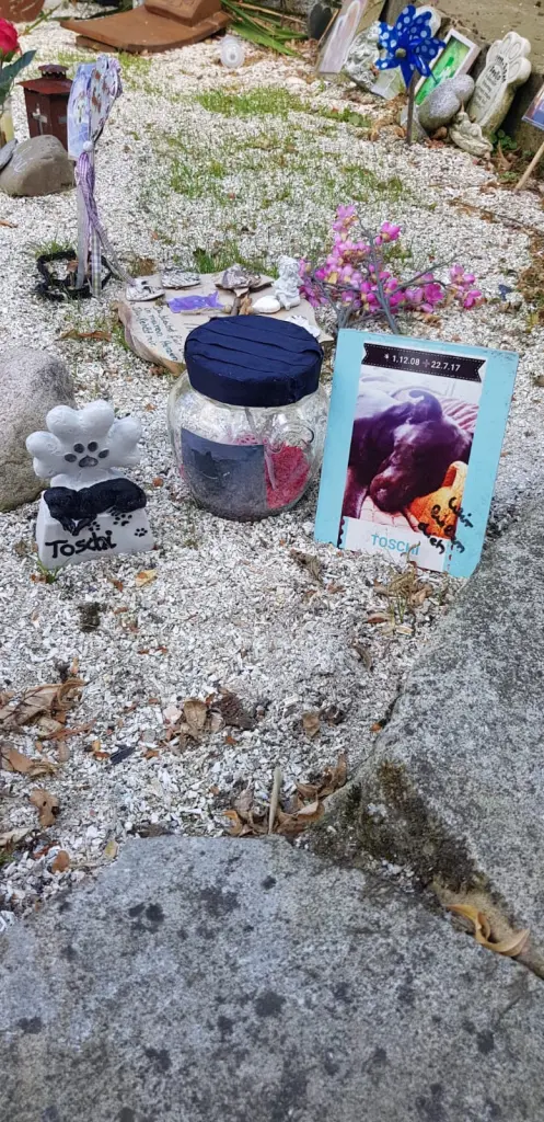 Condolence image of Unbekannt