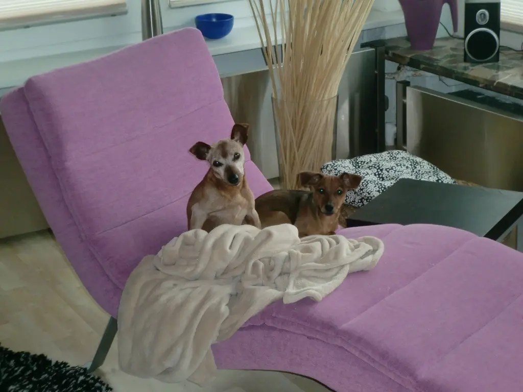 Condolence image of Jutta mit Purzel