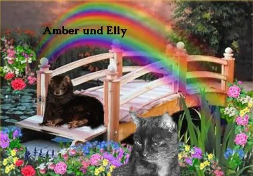 Image from Elly &Amber