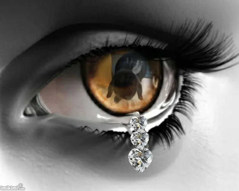 Image from Blacky