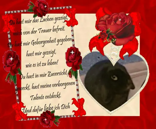 Image from Blacky