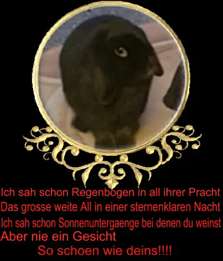 Image from Blacky