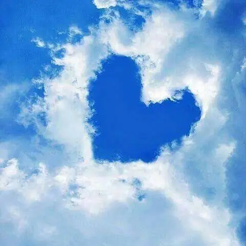 Condolence image of Iris