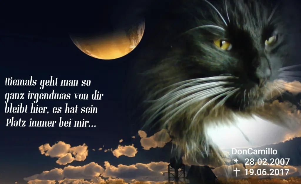 Condolence image of Birgit 