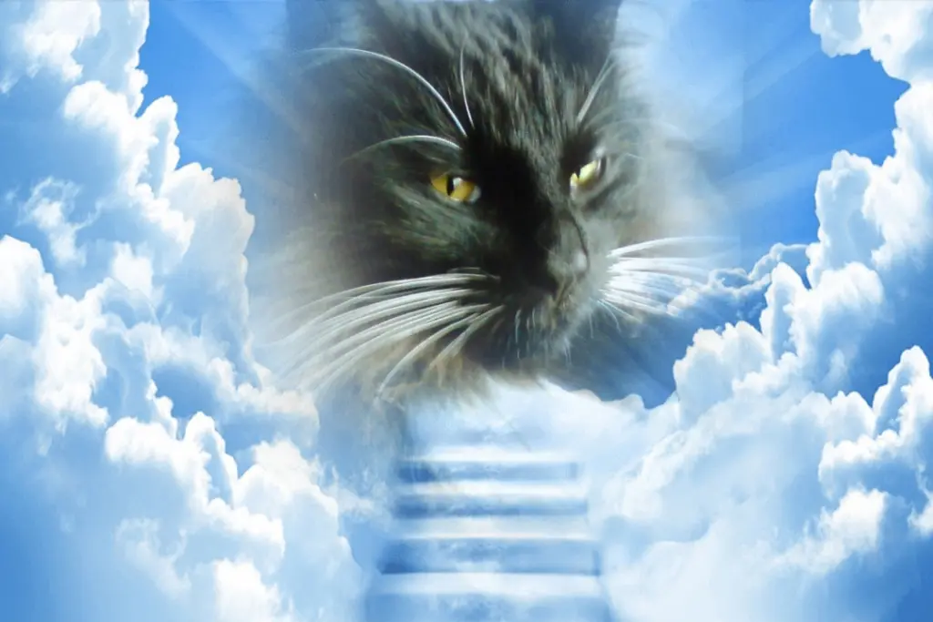 Condolence image of Iris