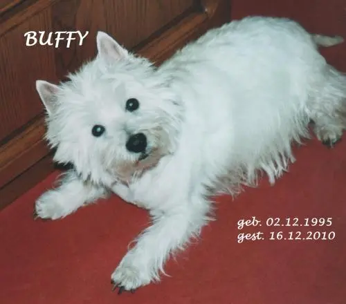 Image from Buffy