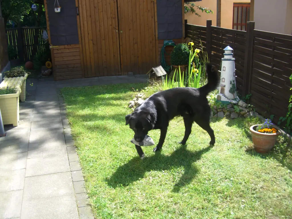 Andachtsbild von Andrea mit Apollo im Herzen