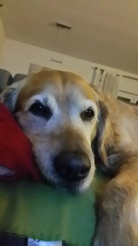 Andachtsbild von Micha mit Cäsar im Herzen