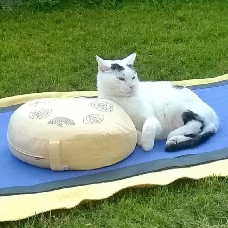 Andachtsbild von Renate