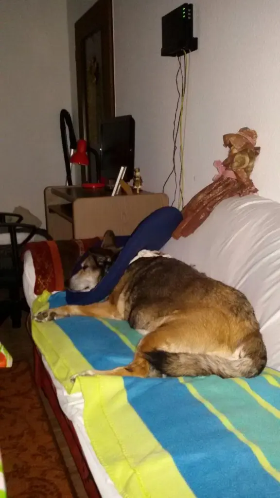 Condolence image of Gabriele Klitz