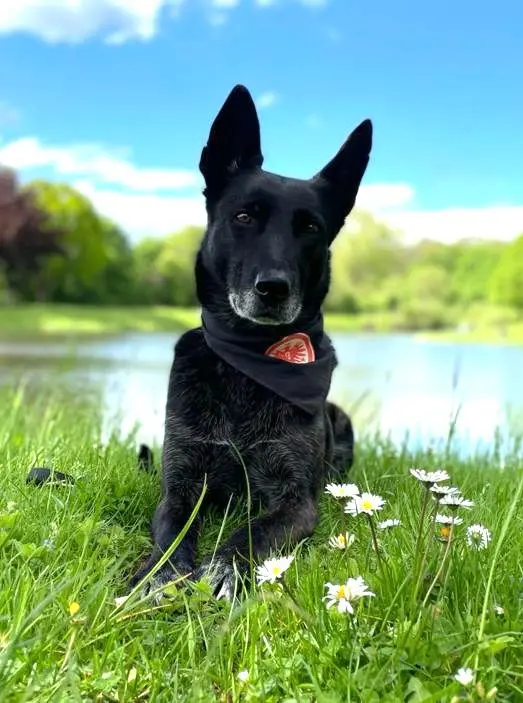 Bild von Maja