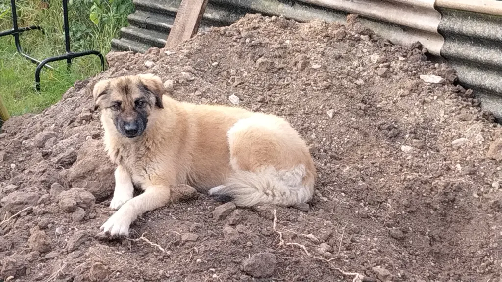 Condolence image of Uwe 