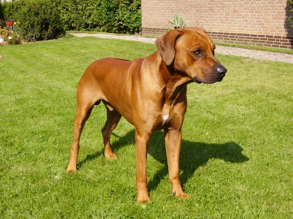 Condolence image of Britta