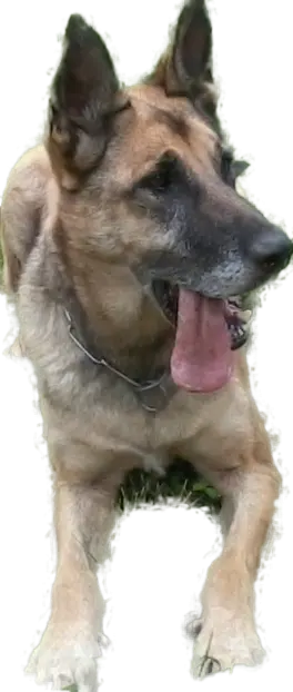 Condolence image of Claudia