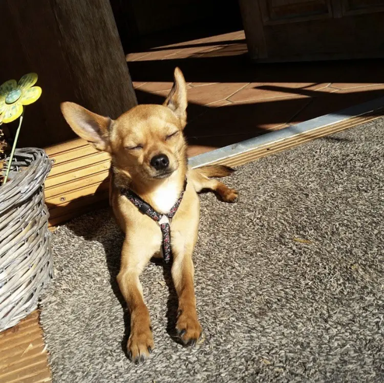 Image from Armani