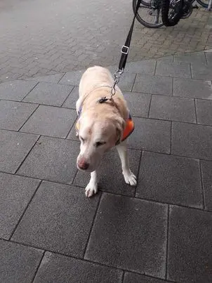 Andachtsbild von Familie