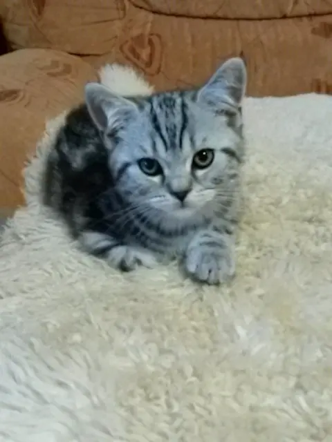 Bild von Angel