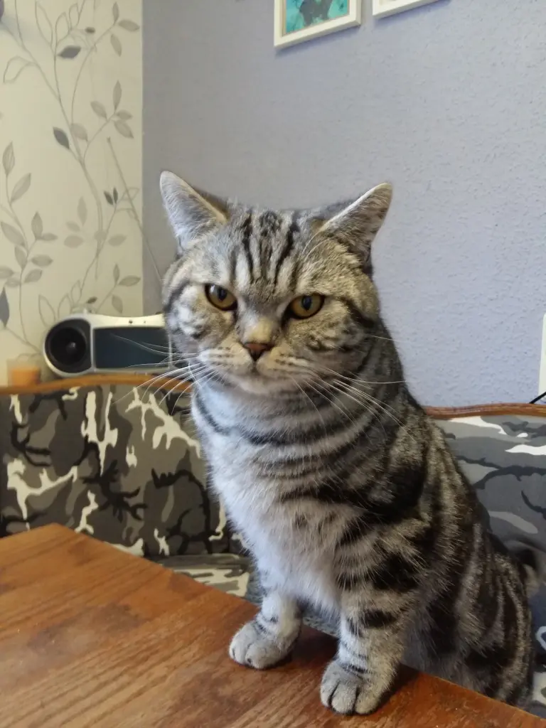 Bild von Angel