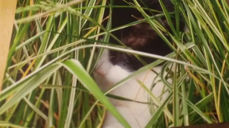 Andachtsbild von Monika und Ulrike 